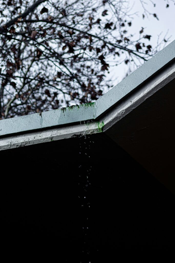 Rainwater drips from the edge of a leaky roof, with green moss growing along the seam. In the background, bare tree branches stretch into the cloudy sky.
